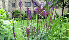 Garden3