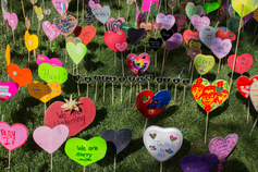 Heart%20garden%202