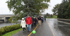 Knoxwalks%202017%203